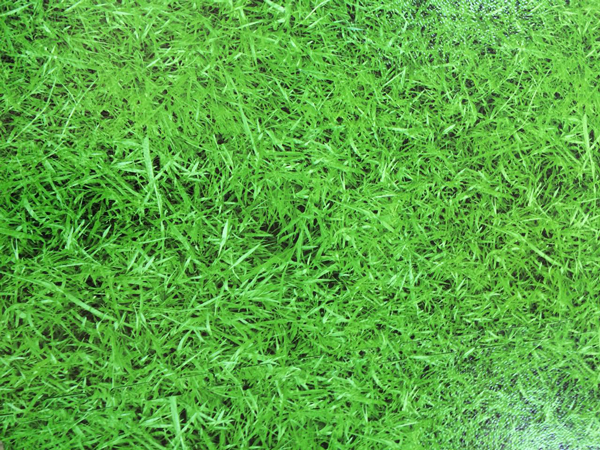 Grass Pattern Puzzle Exercise Mat High Quality EVA Foam Interlocking Tiles/interlocking floor tiles/Kid's Puzzle Solid Play Mat