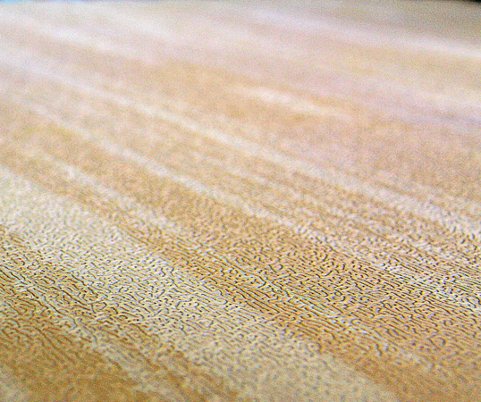 Wood grain high durable taekwondo mats/new design gym mats/China factory direct sale sport floor mats