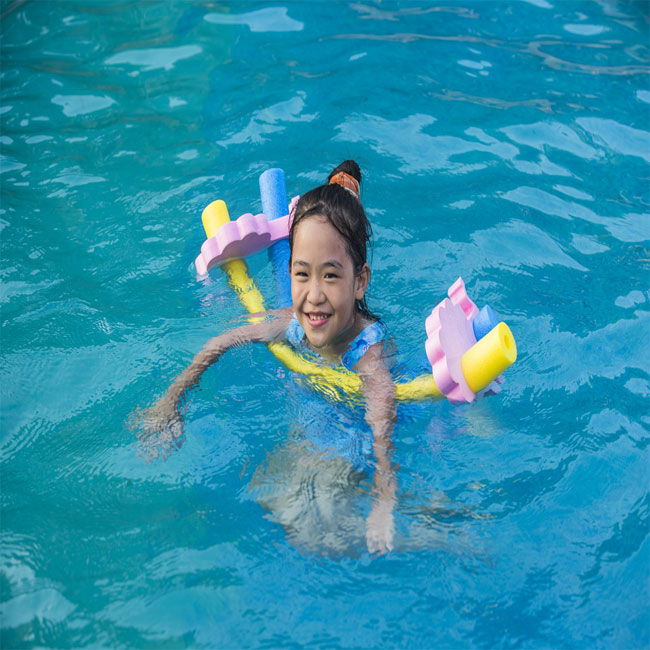 Lion Swimming Noodle